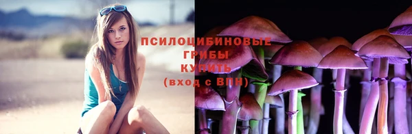 гидропоника Алексеевка