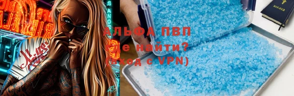 эйфоретик Алзамай