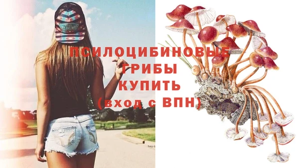 гидропоника Алексеевка